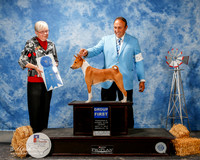 Basenji #5 Fri G1 Behles a Whalen S Allen Judge Terry Carter