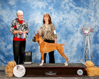 Boxer #8 Fri BOB Storm Randy and Lisa and Alissa Welsh and Marsha Matli Judge Terry Carter