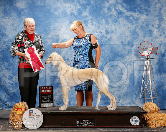 _ST_9632-2-AmarilloSept2015-HR3