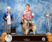 Keeshonden #7 Fri G4 Hughes Melinda and Jennifer McClure and Linda Moss Judge Eva Berg