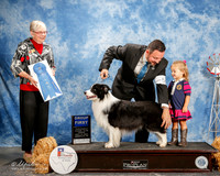 Border Collie #5 Fri G1 Nan Tang and Henry Su Agent Clint Livingston Judge Terry Carter