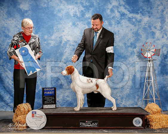 _ST_9672-2-AmarilloSept2015-HR3