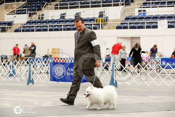 _JJ_7164-AblnMay2014-web