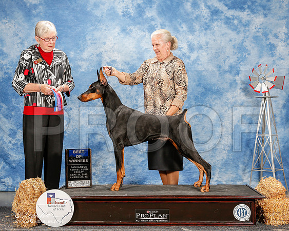 _ST_9708-2-AmarilloSept2015-HR3
