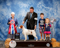 Brittany #5 Fri BIS Douglas Jim and Alisa Andras and C and K Hogan and A Cone Agent Clint Livingston Judge Eva Berg