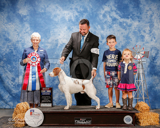 _ST_9717-2-AmarilloSept2015-HR3
