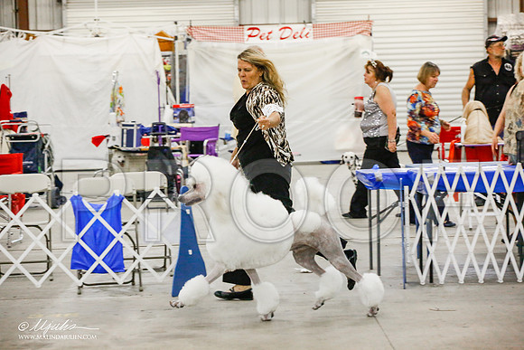 _JJ_5117-AlamogordoOct2014-HR3