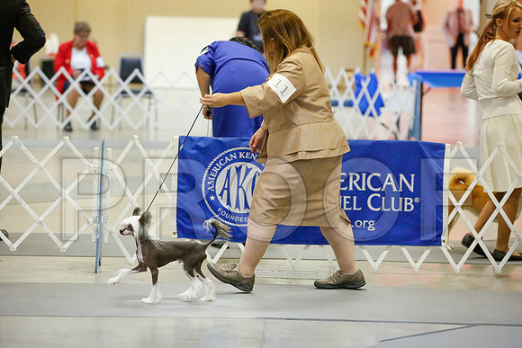 _JJ_0795-AmarilloSept2014-HR3