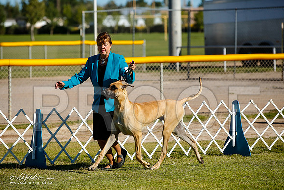 _JJ_9120-AlamogordoOct2014-HR3