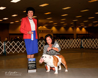 Bulldog #19 Sat BOW Wood Leslye Randy Jenkins Jamie Vasquez Judge Debara Dempsey Alderman