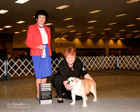 Bulldog #8 Sat RWB Black Sara Judge Debara Dempsey Alderman