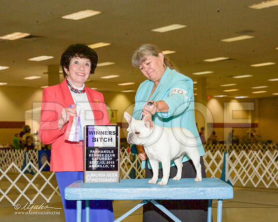 _R2_0376-AmarilloSept2015-HR3