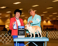 French Bulldog #9 Sat BOW Johnson Nan Christy Judge Debara Dempsey Alderman