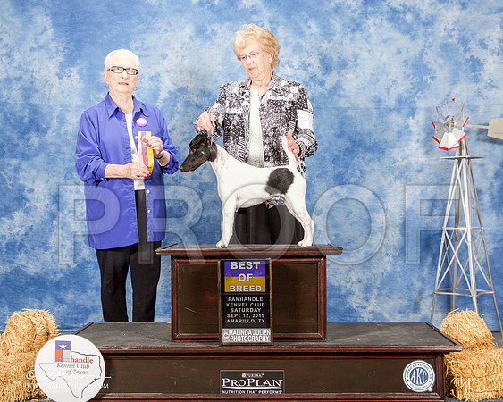 _ST_9748-AmarilloSept2015-HR3