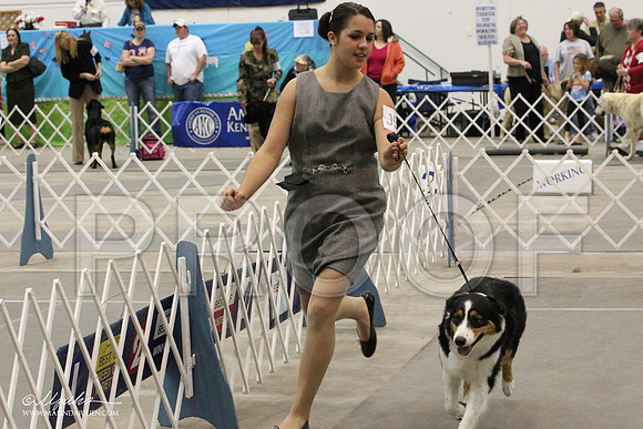 IMG_9198-Abilene2011-HR3