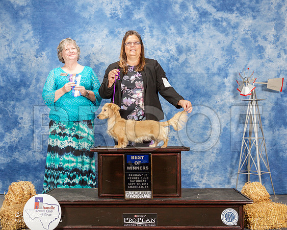 _ST_9758-AmarilloSept2015-HR3