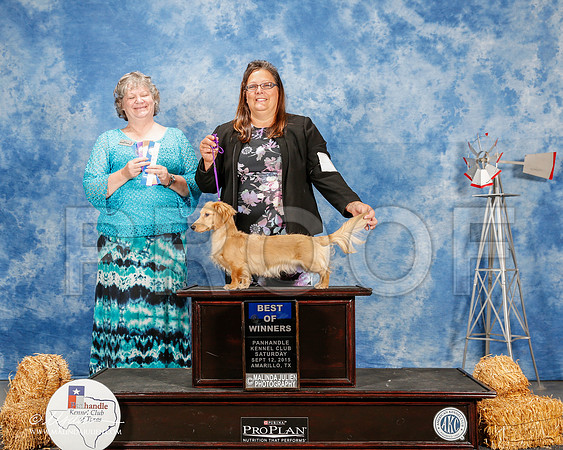 _ST_9759-2-AmarilloSept2015-HR3