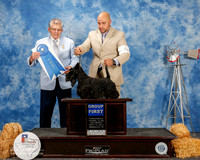 Scottish Terrier #6 Sat G1 Edell Kelli Agent Jesus Moreno Judge Vincent Grosso