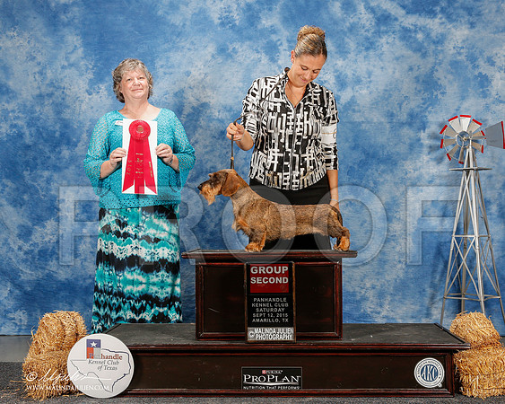 _ST_9780-2-AmarilloSept2015-HR3