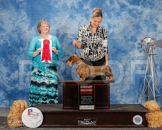_ST_9781-2-AmarilloSept2015-HR3