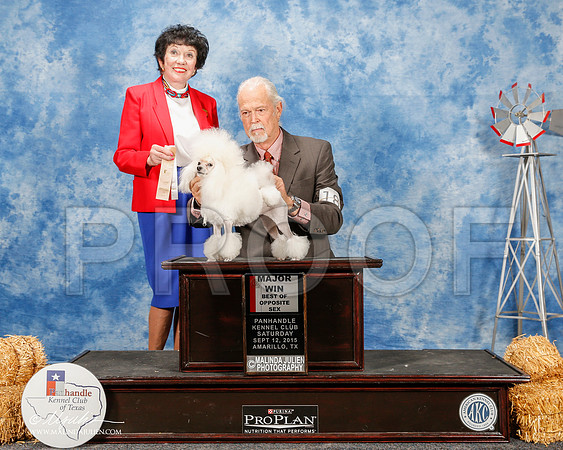 _ST_9793-2-AmarilloSept2015-HR3
