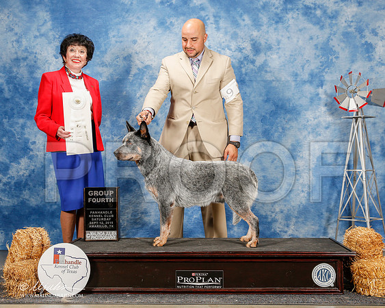 _ST_9853-2-AmarilloSept2015-HR3