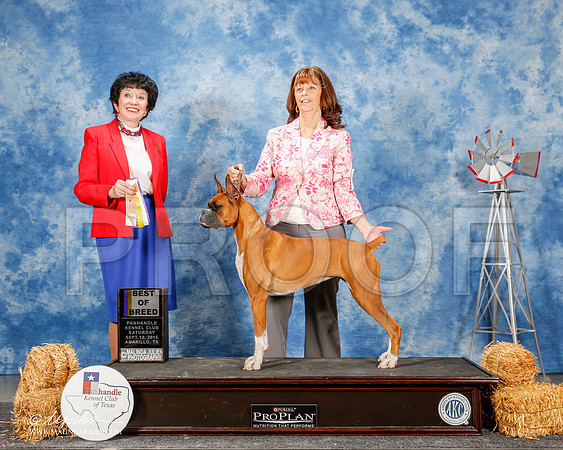 _ST_9814-2-AmarilloSept2015-HR3