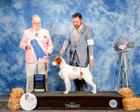 Brittany #5 Sat G1 Douglas Jim and Alisa Andras C and K hogan and A Cone Judge Clyde Shaw