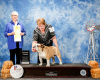 Bulldog #11 Sat G3 Strickland Lesa and Sara Black Judge Kathleen Grosso