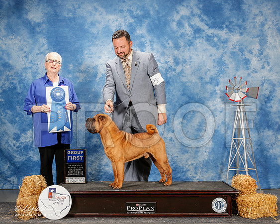 _ST_9829-2-AmarilloSept2015-HR3