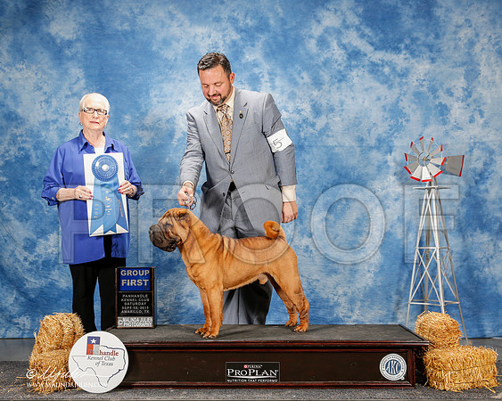 _ST_9830-2-AmarilloSept2015-HR3