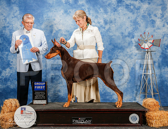 _ST_9804-2-AmarilloSept2015-HR3