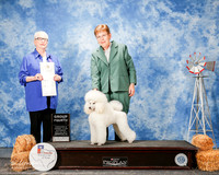 Poodle #6 Sat G4 Neal Joann Judge Kathleen Grosso