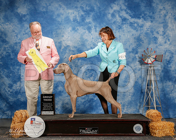 _ST_9819-2-AmarilloSept2015-HR3
