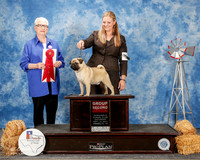 Pug #5 Sat G2 Delisa Mary Holly Leftwich Judge Kathleen Grosso