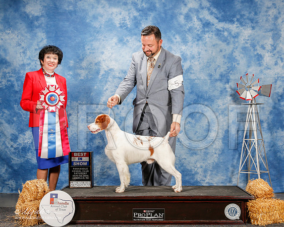 _ST_9897-2-AmarilloSept2015-HR3