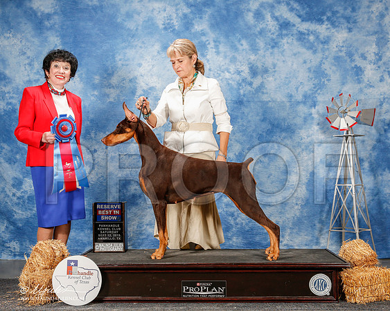 _ST_9895-2-AmarilloSept2015-HR3