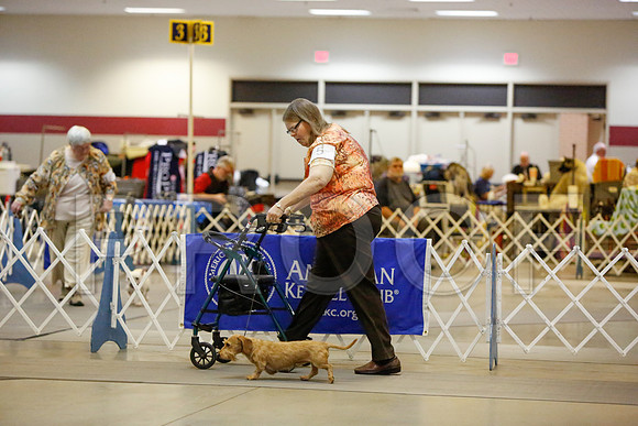 _JN_3775-AmarilloSept2014-HR3