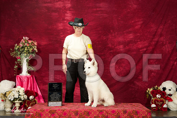 _ST_2896-BeltonJan2015IABCA-HR3