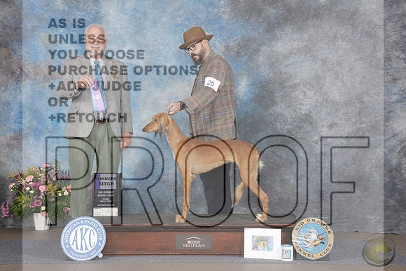 Saluki #20 Fri WB Judge Eric LiebesSaluki #20 Fri WB Judge Eric Liebes_WP_4780e-_Abluqurque NM 2026-HR3