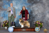 Heather Lindberg ABQ 2026