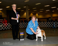 Bulldog #10 Sat BOW BOB Lesa Strickland L and Kris Hobbs Judge Kathleen M Grosso