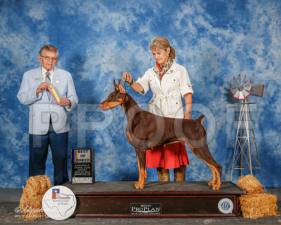 _ST_9913-2-AmarilloSept2015-HR3