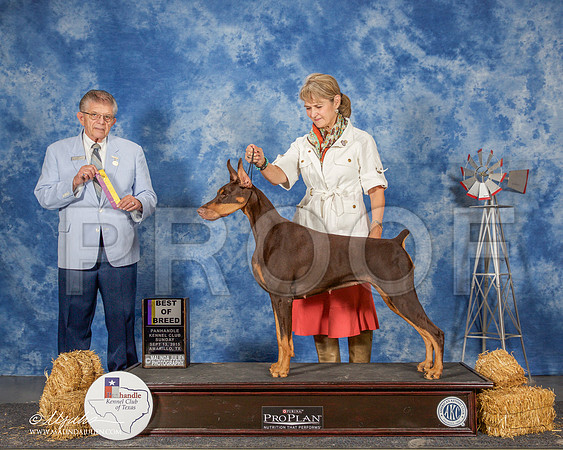 _ST_9913-AmarilloSept2015-HR3