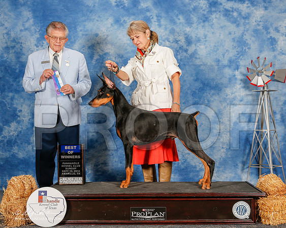 _ST_9905-2-AmarilloSept2015-HR3