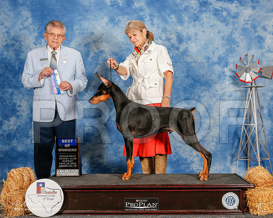 _ST_9907-2-AmarilloSept2015-HR3