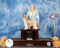 Chinese Crested #5 Thurs Curtis Joanne Hardman and Kelli Sword and Gene and Joyce +Judge Kathy Sawyer