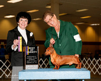 Dachsund Smooth #9 Sun BOV Staggs Karen and Barbara Starnes Judge Barbara Dempsey Alderman