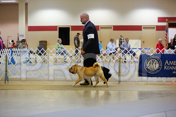 _JN_6376-AmarilloSept2014-HR3
