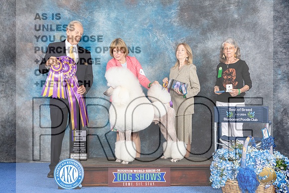 Poodle Standard #5 WED BOB Judge James Moses__JP_7371_Houston_2024_HR3